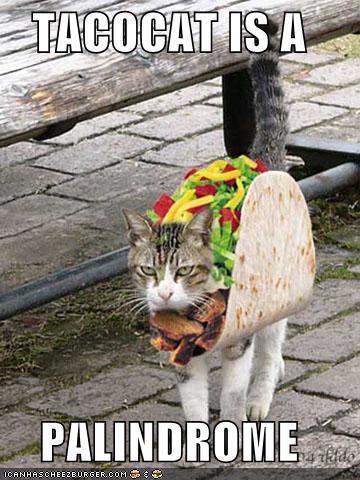 Tacocat