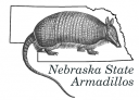 Armadillos!